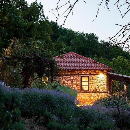 Ktima Bellou Agios Dimitrios  Exteriör bild