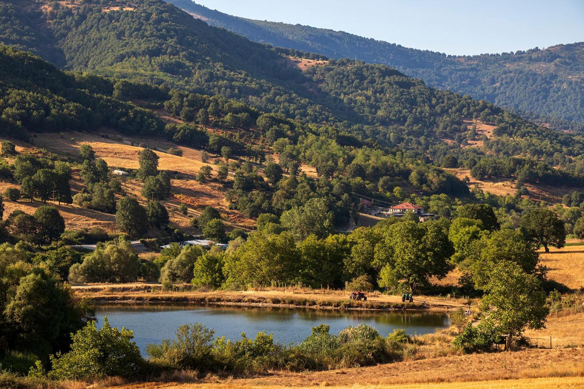 Ktima Bellou Agios Dimitrios  Exteriör bild