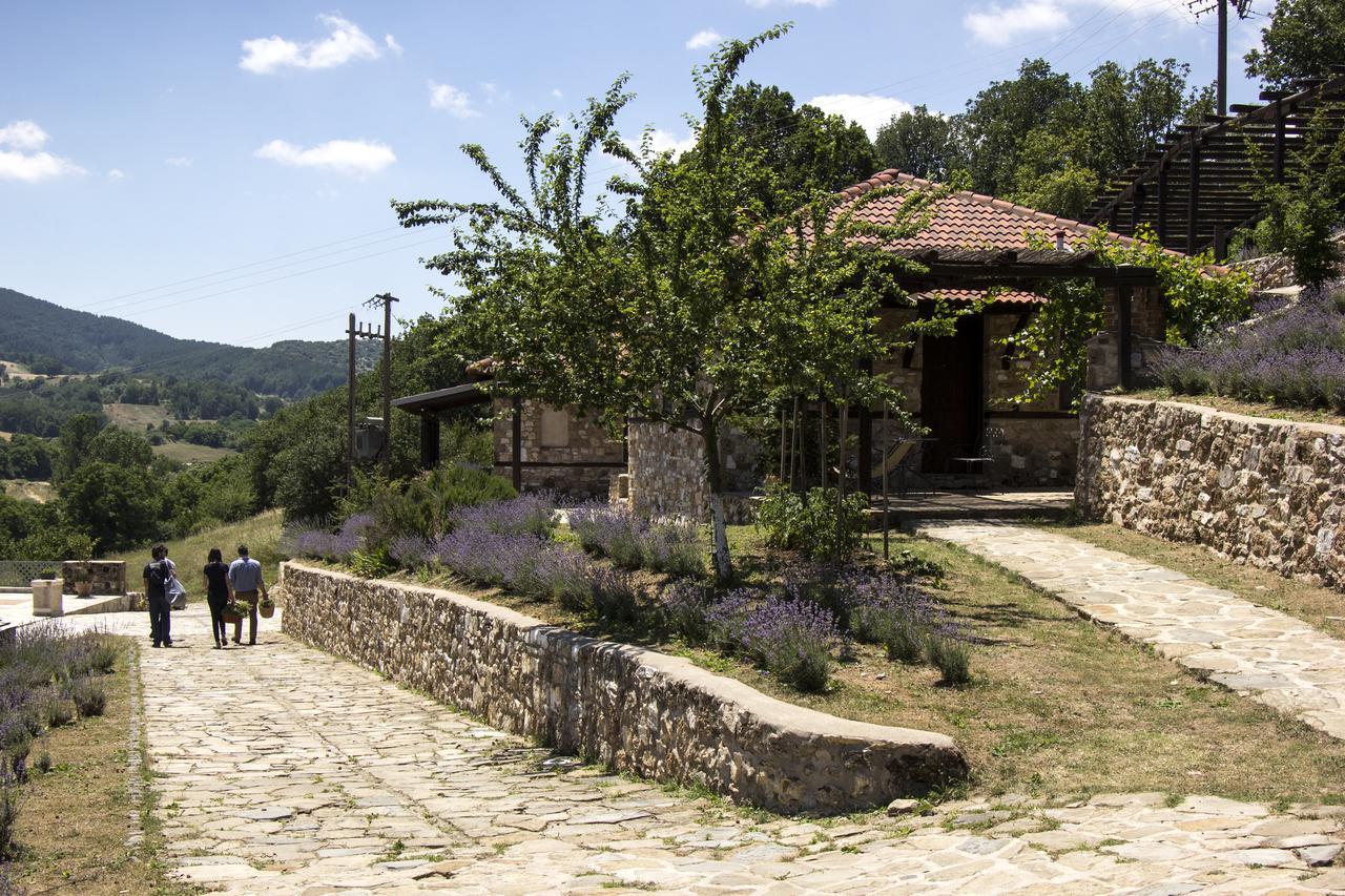 Ktima Bellou Agios Dimitrios  Exteriör bild